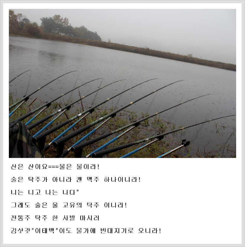 02618F4F50912331132201