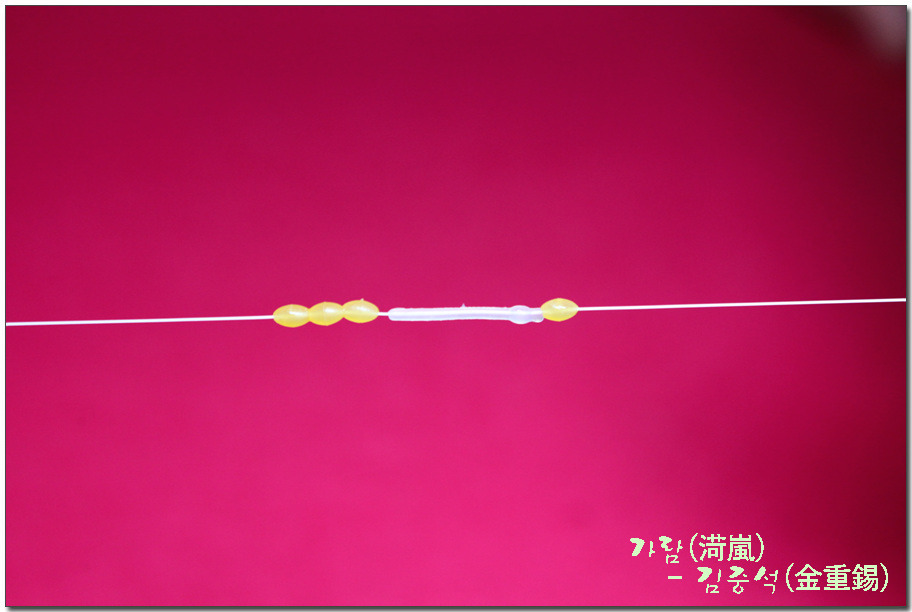 0272BB34509055A5061C36
