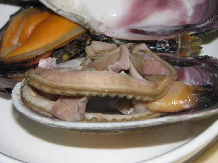 찜우동 이미지