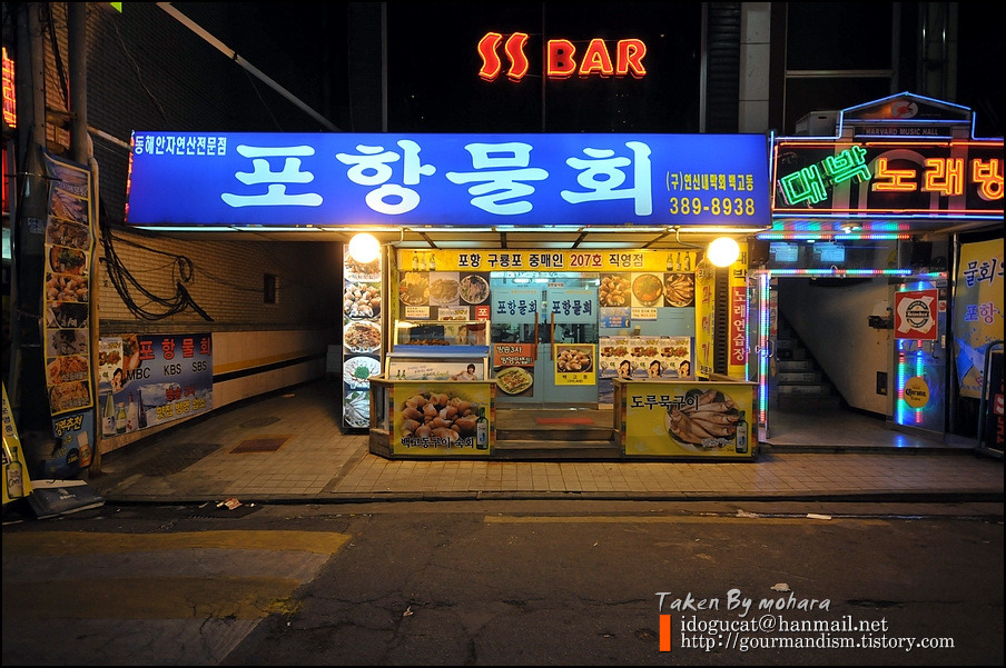 포항막회 이미지