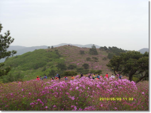일림 이미지