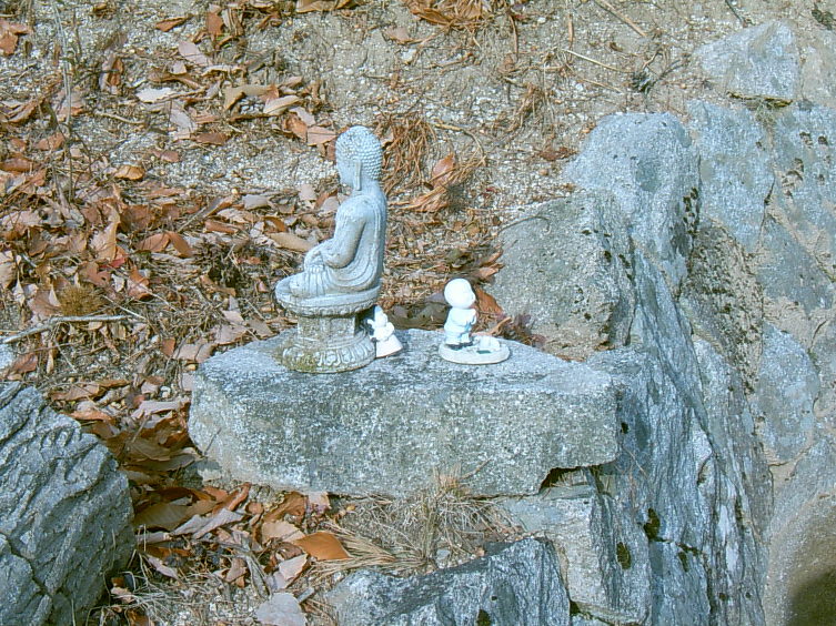 팔공산 선본사