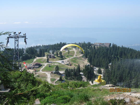 Grouse Mountain정상의 보호소에 있는 큰 야생곰 두마리