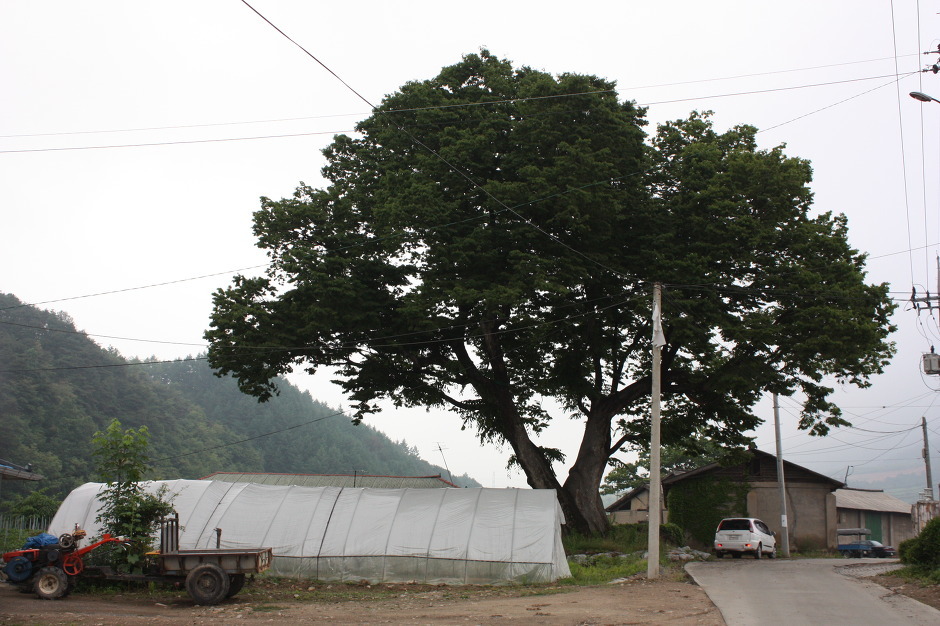 황학산(2)