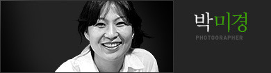 장미계단 - 2013. 4. 9