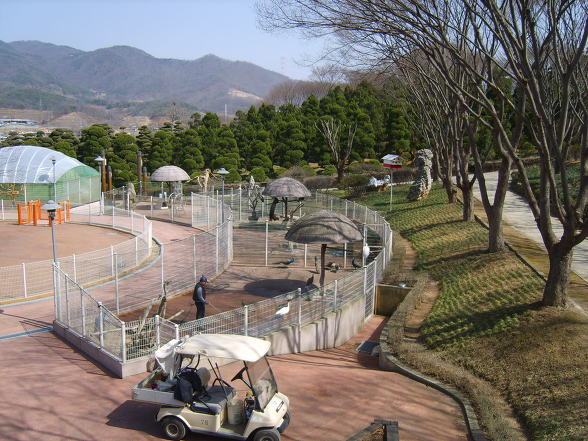 새이름 이미지