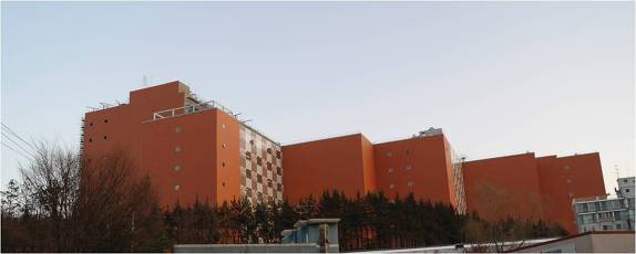 테라코타 이미지