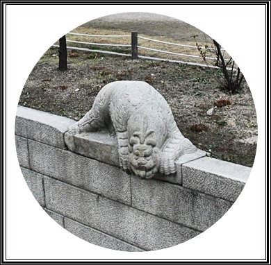 진현음반 이미지