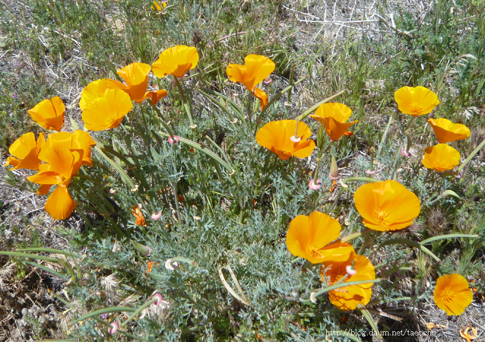 141FE24D4F949DD214CECF