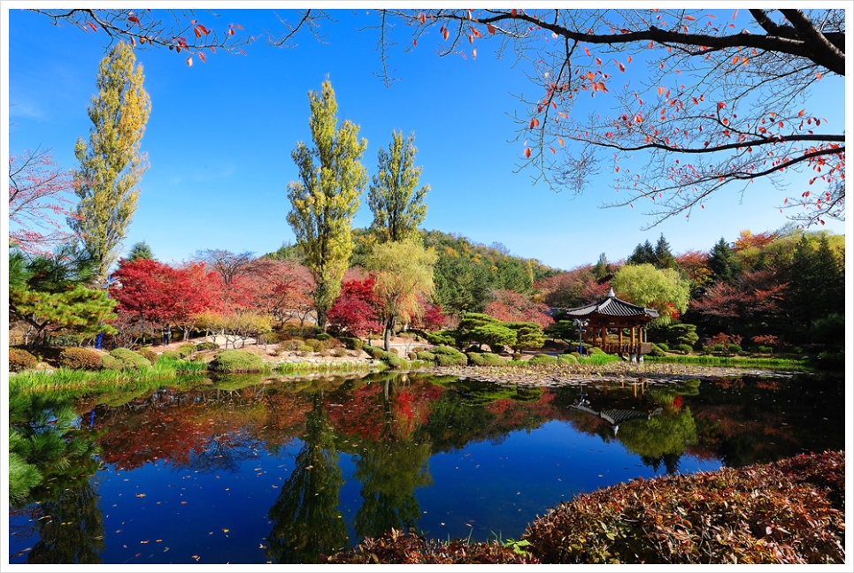 가을 보문정(2009.11.7)