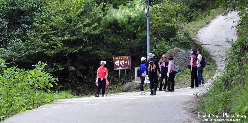 흥부골자연휴양림 이미지