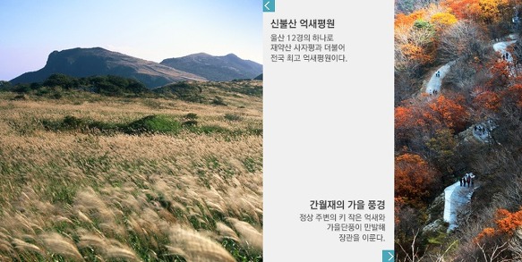 알프스행정 이미지