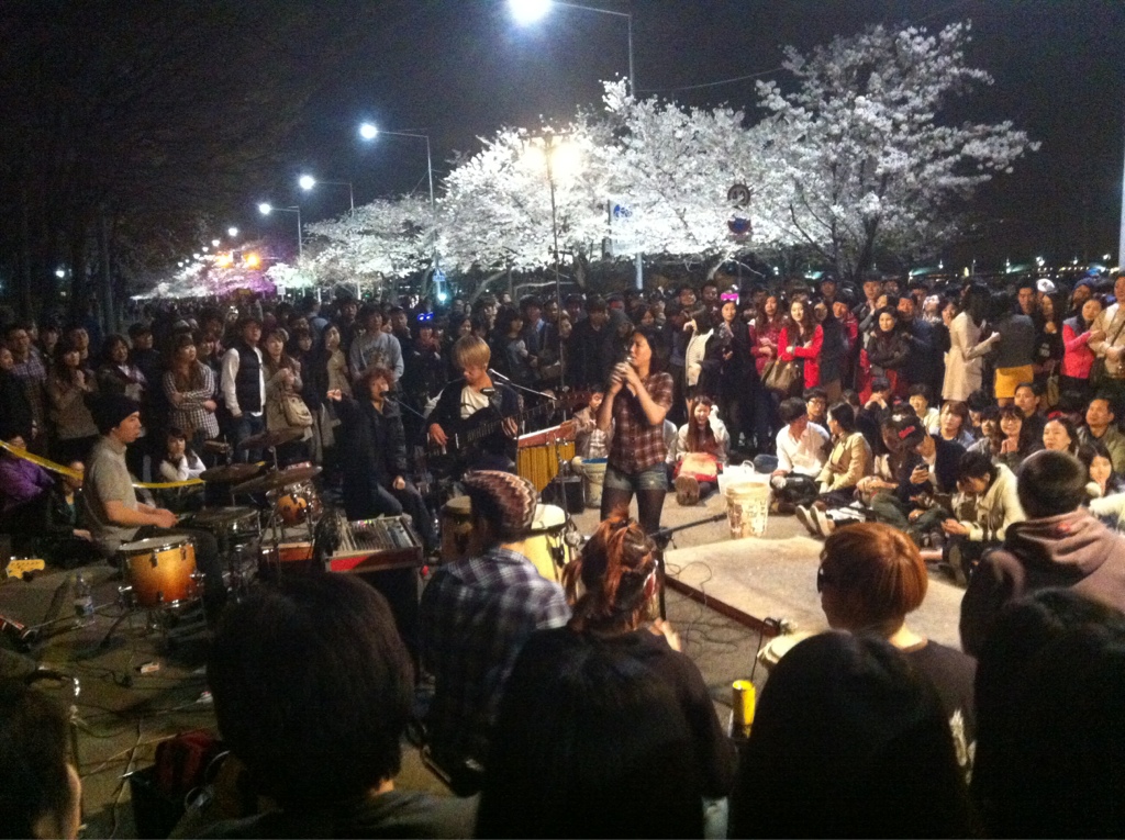 [서울] 여의도 벚꽃축제 밤 나들이