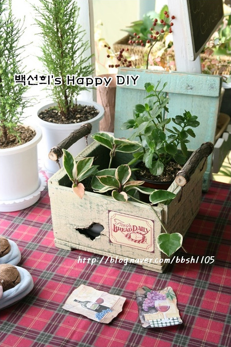 미니박스 이미지