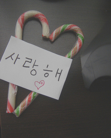 그래도 사랑해 이미지