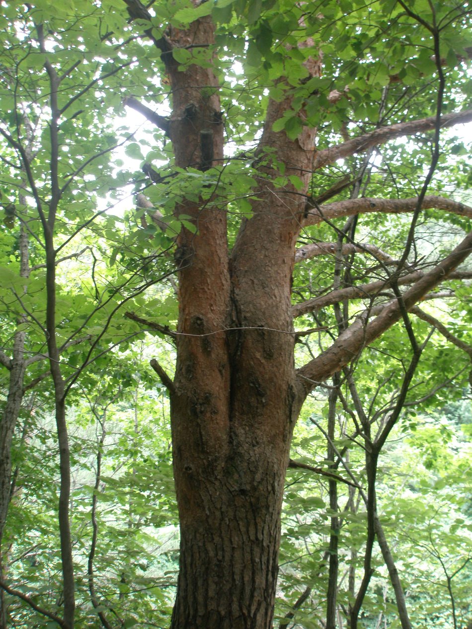 마방캠핑장 이미지