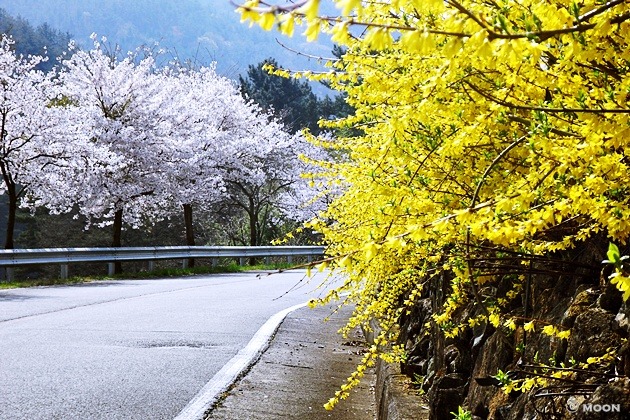 영수산 이미지