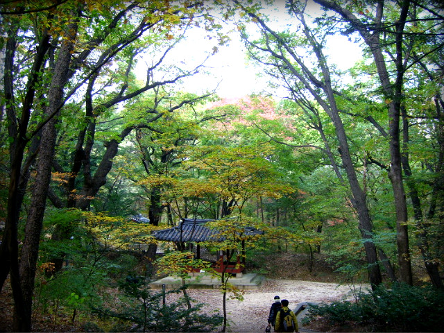 1714AF234AF5B9EE11F06E