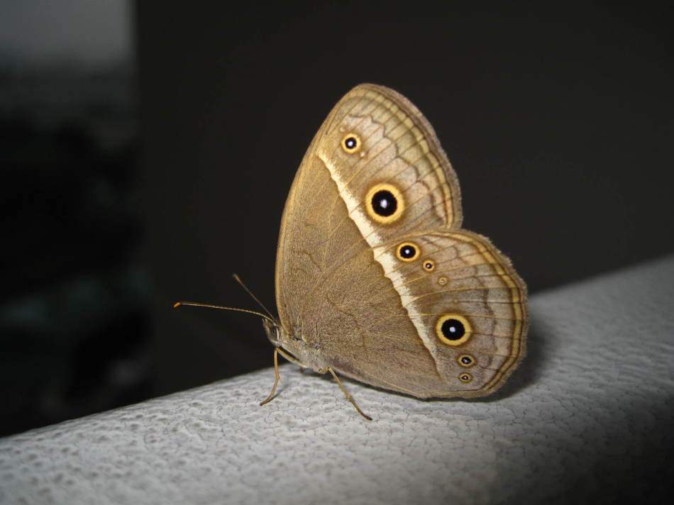 제천가스충전소 이미지