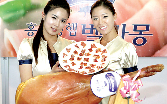 벨라몽 이미지