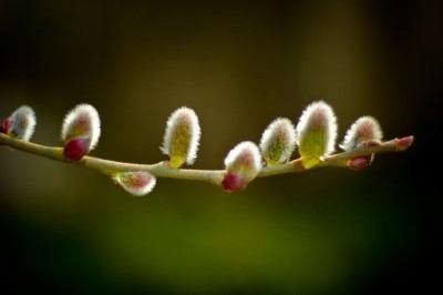 1804943B4F39FF5B244875