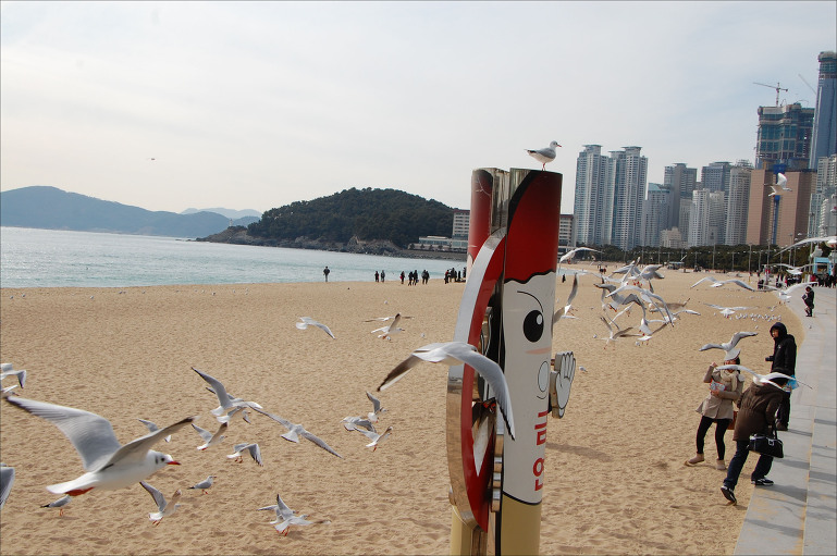 금수복국 해운대 본점  (부산 여행중에)