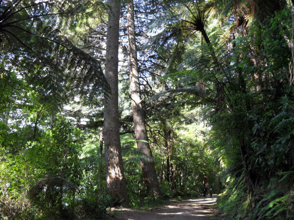 블루레이크(Blue Lake)와 그린레이크 (Green Lake)