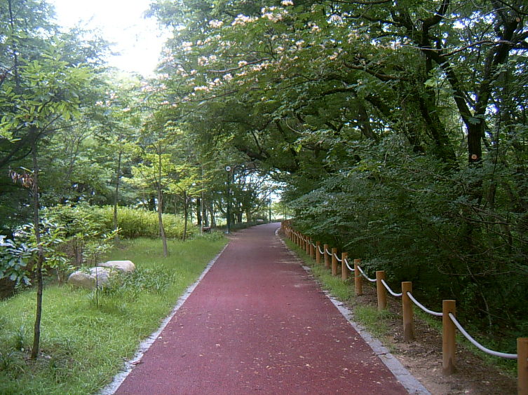 함양공원 산책로