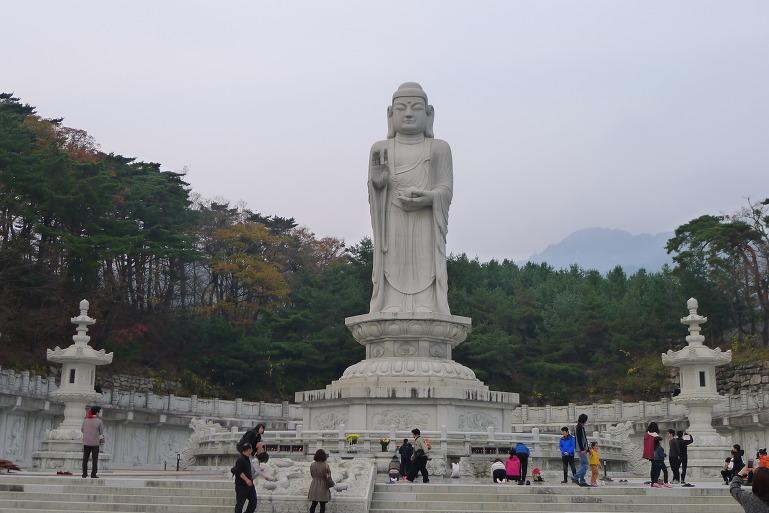 팔공산 조망 이미지