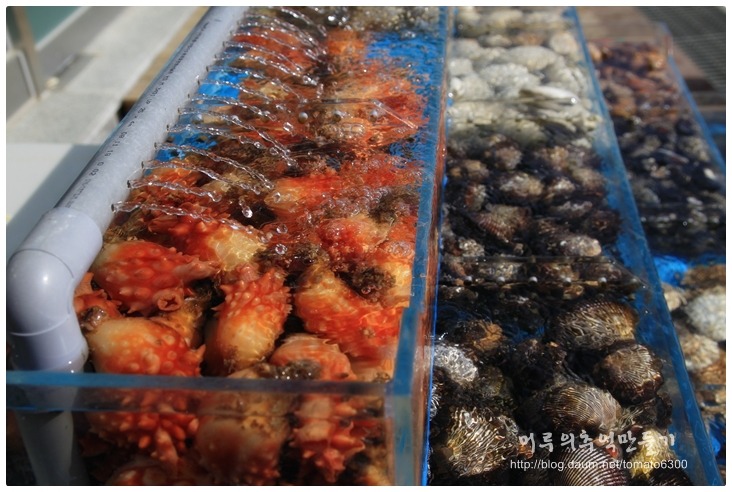 1박2일회수산 이미지