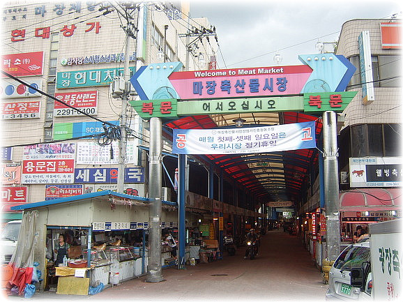 마장동 이미지