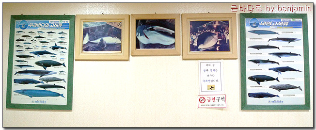고래주방 이미지