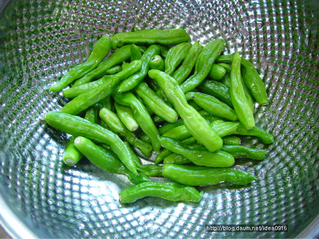 꽈리고추로 만든 반찬 세가지