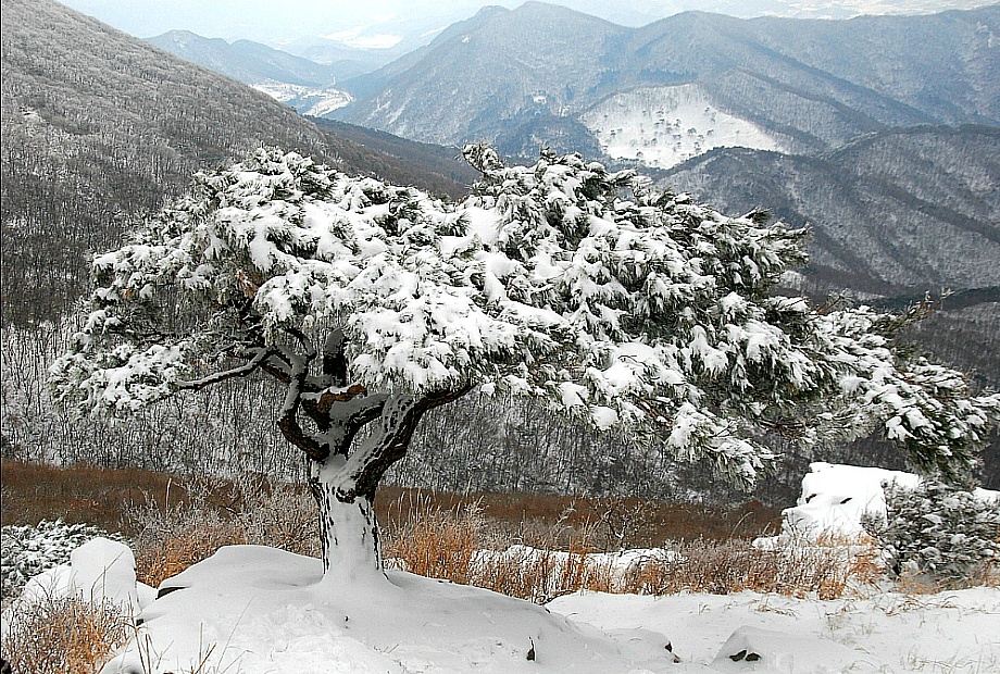 서석대 이미지