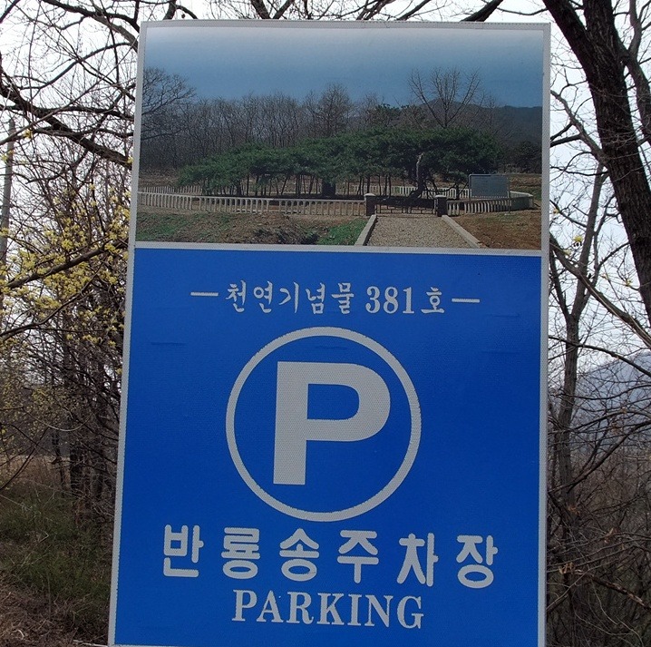 원적산 정상 이미지