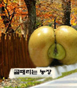 농장사람들 이미지