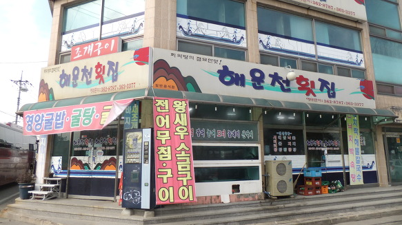 새봄여행 이미지