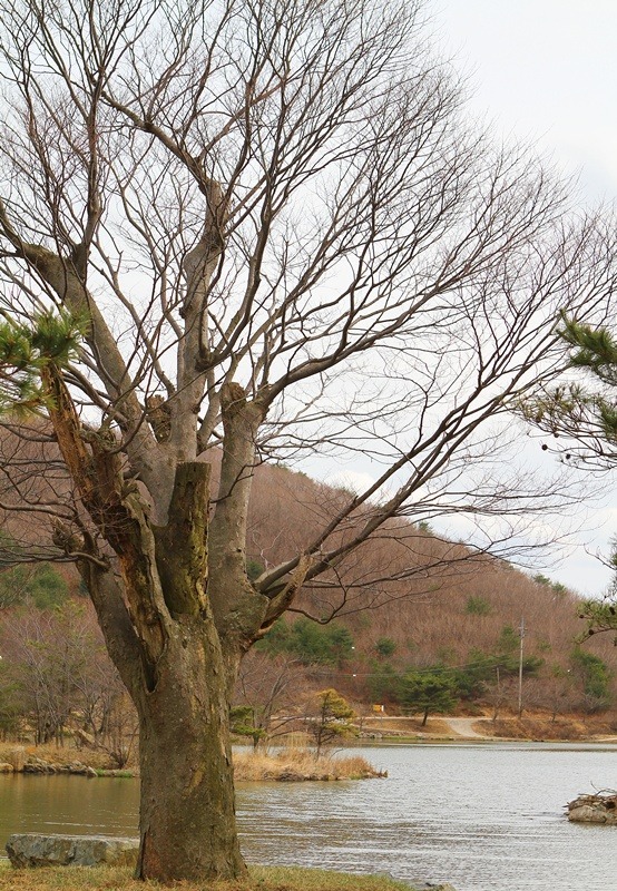 오케이목장 이미지