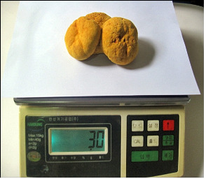 암을 이기는 상황버섯 