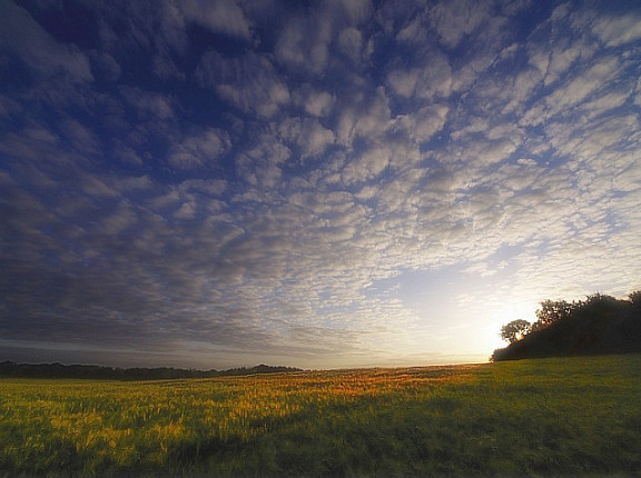 206AC7024C96667959B934