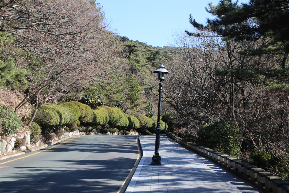 갈맷길 3-3 구간(태종대 ~ 절영해안길)의 환상적인 길을 걷다(16.1.25)