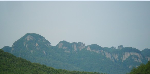 매실 농장에서 바라본 청량산