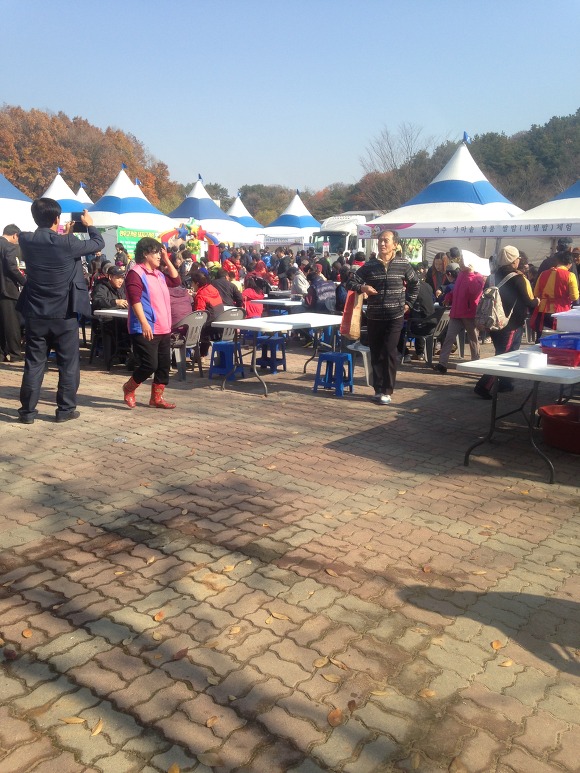 제 16회 오곡나루축제에 다녀왔습니다.