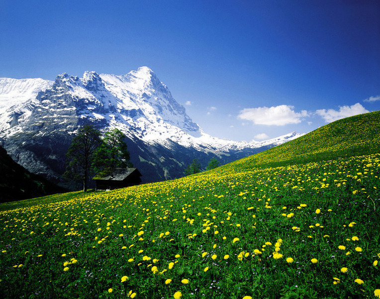 215EBE4B52A50E0A1859C1