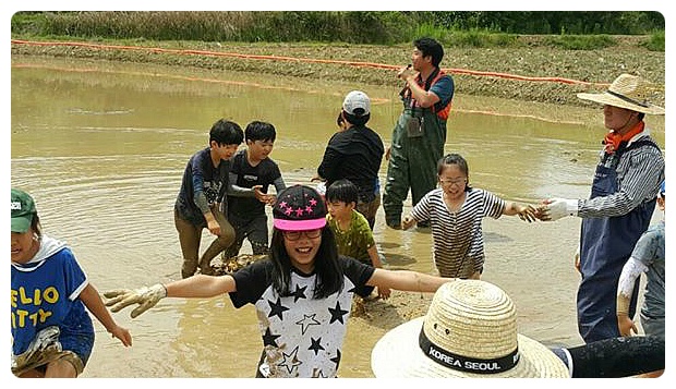 2218D245595DFA33323BF0