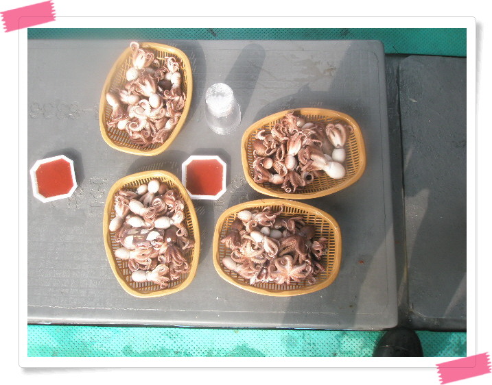 2219EE45540EB3D0225605