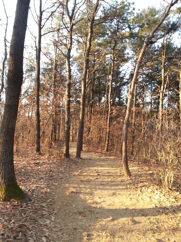 1.대모산(大母山,293m)