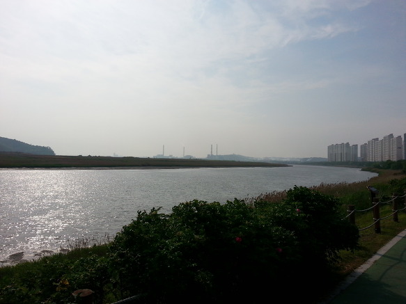 역시나 그냥 달려보고 느껴보는 안산 속 자전거투어 - 안산 자전거 아우토반 (안산갈대습지공원)2