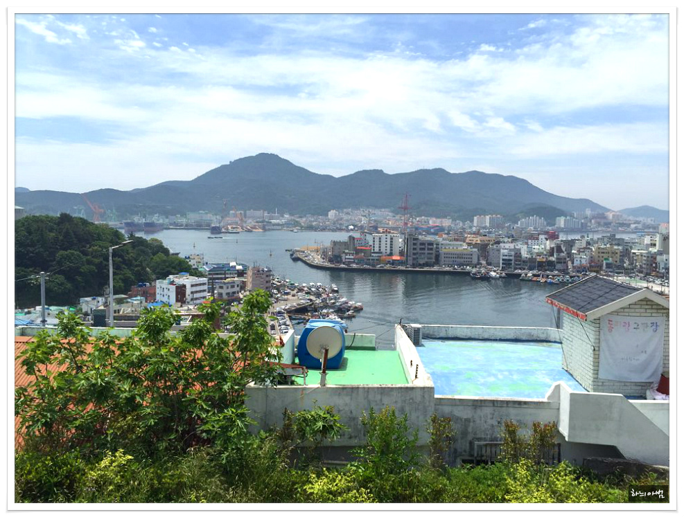<통영/중앙시장>뽈락구이,병어돔회,멍게비빔밥,갑오징어찜,도다리지리탕..태웅관 - 전북/전주 지역 추천맛집 태웅관 후기