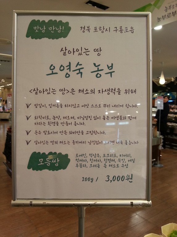 롯데백화점(강남점) 이미지